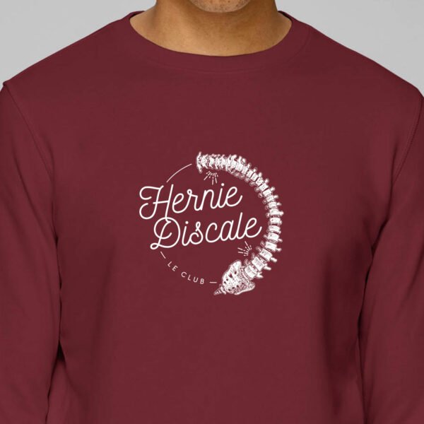 Hernie Discale | Pull